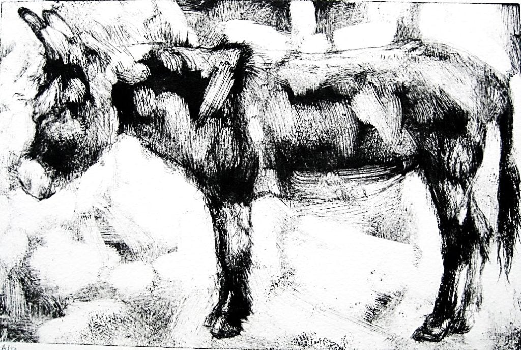 Chelsea looking patient at school Drypoint monoprint of a cow