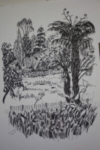 A black and white drawing featuring tree ferns